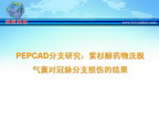 [TCT2009]PEPCAD分支研究：紫杉醇药物洗脱气囊对冠脉分支损伤的结果